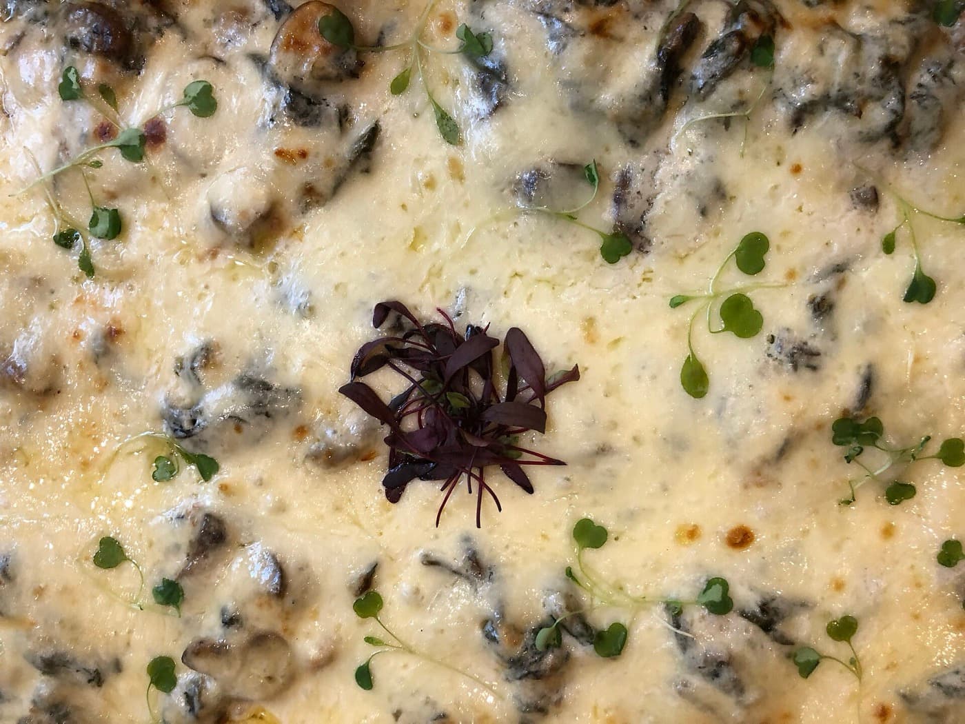 Gemüselasagne mit Zucchini und Spinat